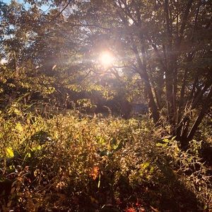 Meet your Posher, Donny